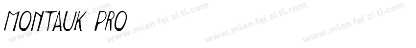 Montauk Pro字体转换